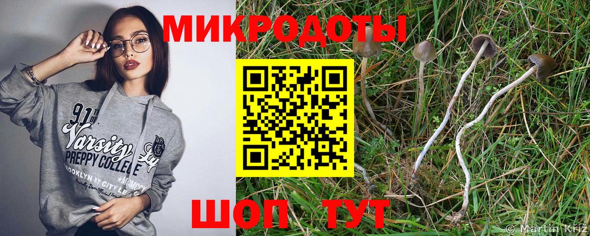 Галлюциногенные грибы MAGIC MUSHROOMS Березники